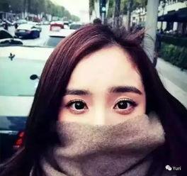 国产自拍视频1204,揭秘国内短视频新潮流