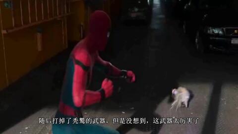 国产人类坐爱视频,描绘真挚情感的人性光辉