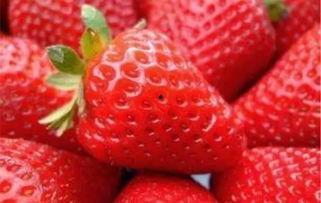 国产日韩欧美小视频草莓,国产日韩欧美小视频中的甜蜜诱惑