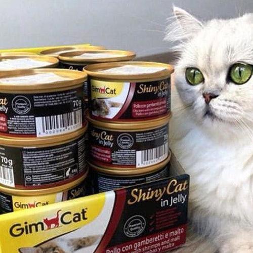 国产宠物狗罐头测评视频,品质与口感的双重考验