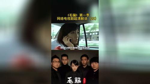 国产版信号剧解说大全视频,剧情解析与亮点回顾